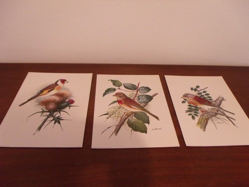 Vintage donald art - donald, company