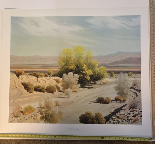 James swinnerton palo verde - swinnerton, in